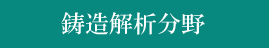 鋳造解析分野