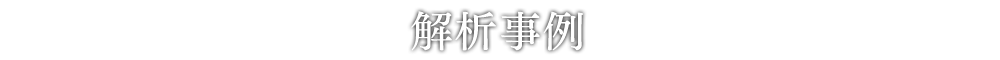 SPH粒子法による解析ソフトウェア「SPHinxシリーズ」による各種解析事例をご紹介いたします