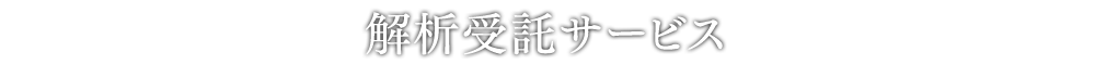 解析受託サービス